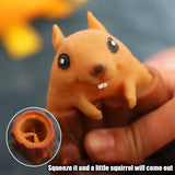 🔥50% OFF Squirrel Cup Fidget Toys